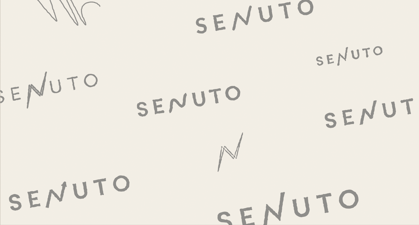 Ewolucja logo Senuto na tle w kolorze Senuto Warm
