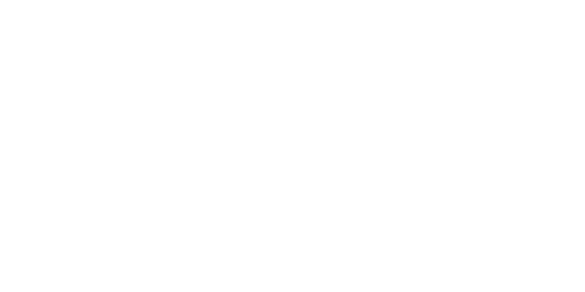 Performance Media