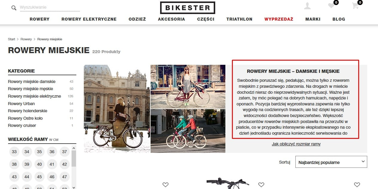 pozycjonowanie sklepu internetowego | screen opisu kategorii na bikester.pl