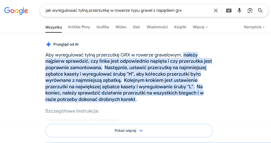 przykład długiego zapytania i odpowiedzi wygenerowanej w ramach AI Overviews
